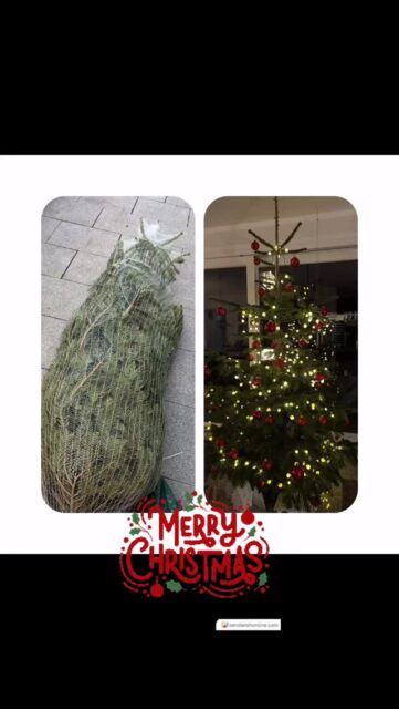 Before…and after 🎄🎄🎄🎄 wir wünschen friedvolle Weihnachten 😍#weihnachten #aachen #familie #deutschland #glücklich